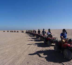 In der Wüste mit den Quads unterwegs