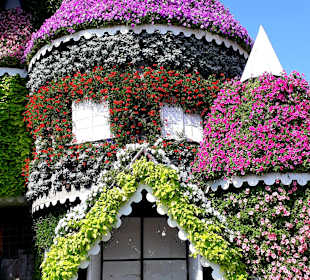 Miracle Garden