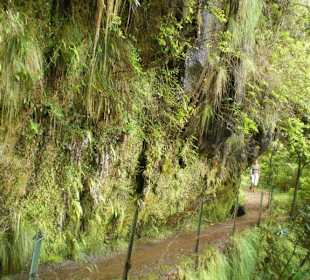 Wzdłuż lavady od ribeiro frio