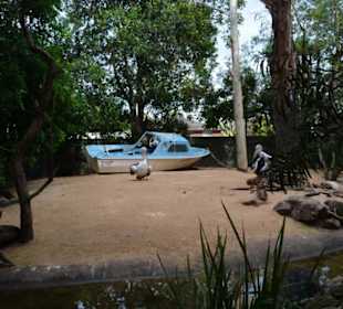 Feather Dale Wildlife Park