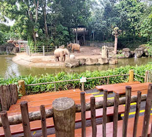Singapur Zoo