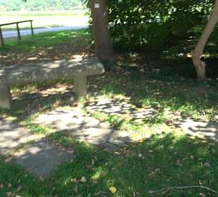 Schlosspark Hohenheim