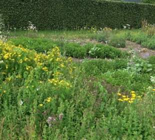 ALB-GOLD Naturgarten