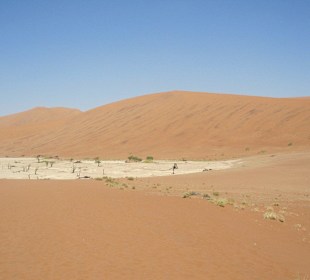 Dead Vlei