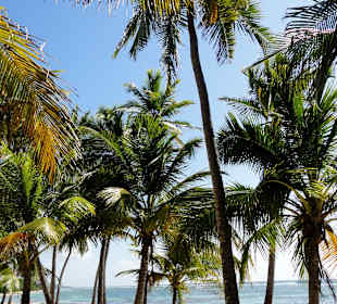 Spaziergang an der Plage de Bois Jolan