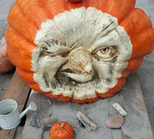 Kürbisausstellung Ludwigsburg