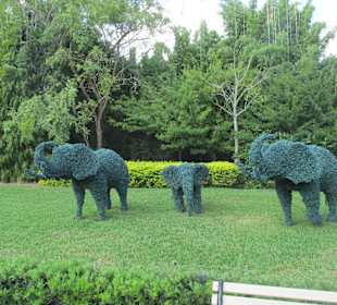 Tierische Kunstwerke 