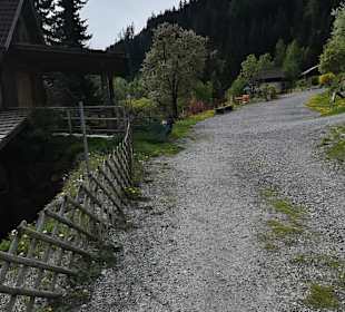 Alpen Wildpark Feld am See