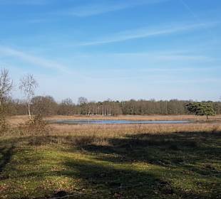 Abwechslungsreicher Weg