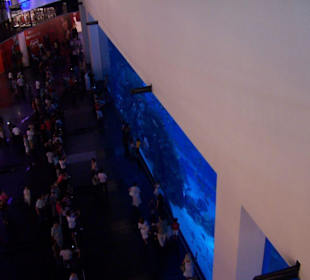 Aquarium w Centrum handlowym 