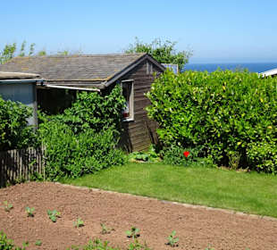 Rundgang durch die Schrebergarten-Kolonie