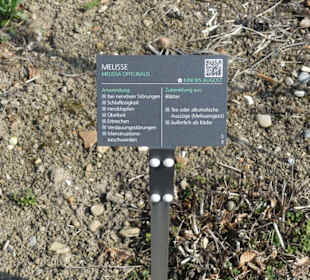 Hinweistafel zum eingepflanzten Kraut