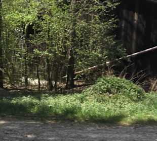 Waldlehrpfad an der Lauter