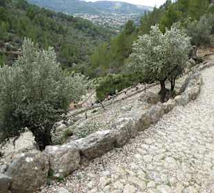 Wandereindrücke, steiniger Pfad