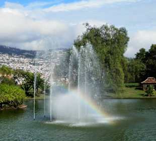 Pohled z parku na Funchal