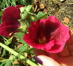 Kampinoski Park Narodowy