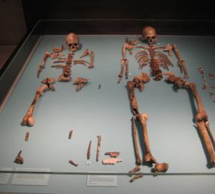 Rheinisches Landesmuseum