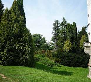 Zieleń przy Zamku