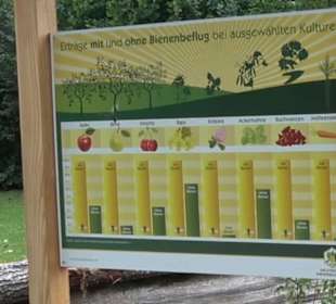 Blühendes Neresheim