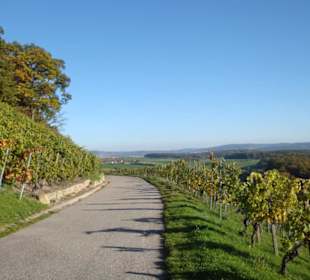 Wanderweg am Lemberg