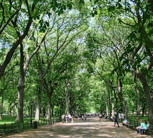 Central Park