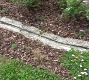 Dorfbrunnen Unteriflingen