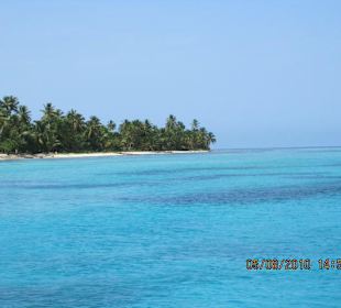 Saona mit Tourguide Andy