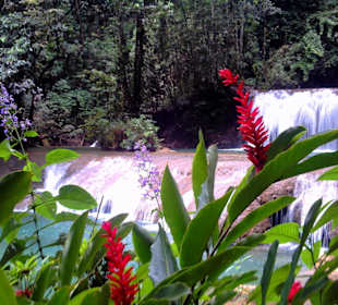 YS Falls