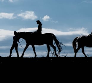 Horse riding on the beach