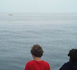 Whale Watching in Los Angeles