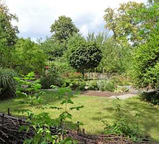 Rundgang durch den Botanischen Garten