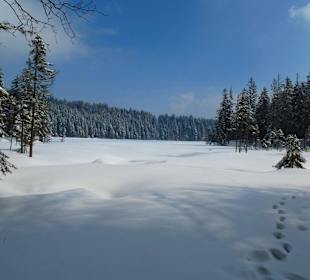 Ausflug Grosser Arbersee
