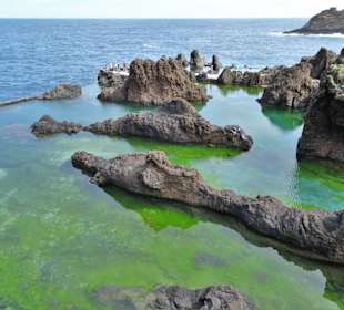 Die Lavapools von Cachalote in Porto Moniz