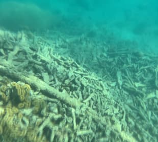 Schnorcheln Hurghada