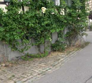 Doppelwohnhaus von 1625
