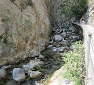 Am Anfang noch gemächlich 