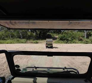 Krüger Nationalpark