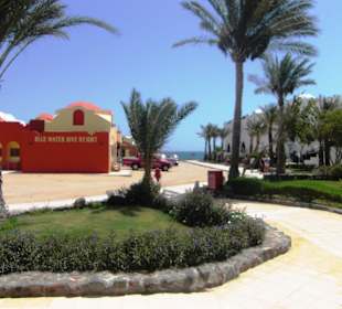 Blue water dive resort