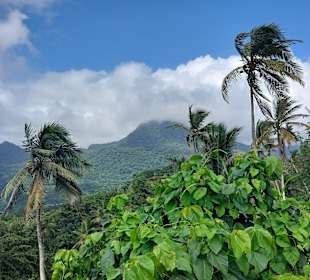 Parque Natural Obô do Príncipe