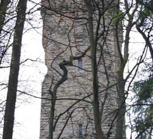 Wallace monument