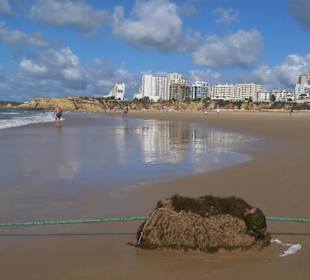 Praia da Rocha