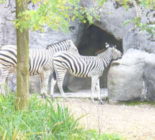 Tierpark Hagenbeck