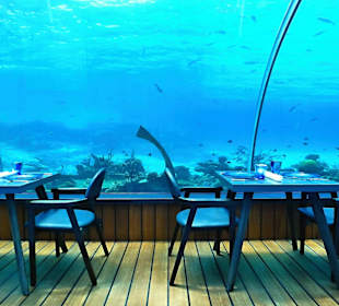 Undersea Restaurant