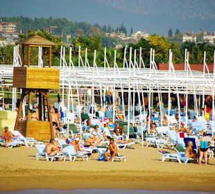 Inspirationen an d.Strandprom.entlang Nov.2010