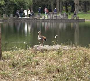 Schlossgarten Karlsruhe