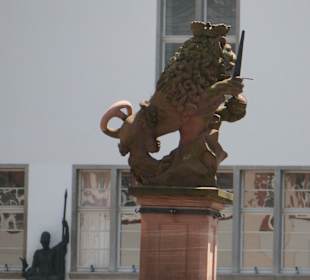 Am Universitätsplatz von Heidelberg
