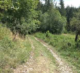 Hochgeträumt Premiumwanderung