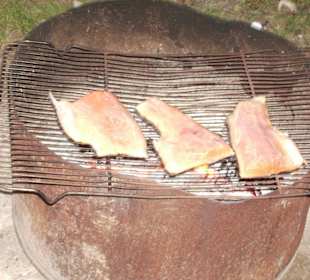Über 1 Kilo frisches Forellenfilet