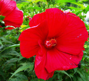 An der Allee entlang