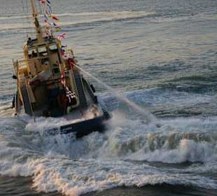 Pirouetten zur Begrüßung